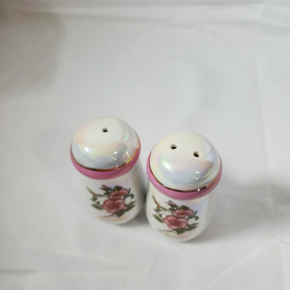 Iridescent‎ Florida Souvenirs Salt and Pepper Shakers